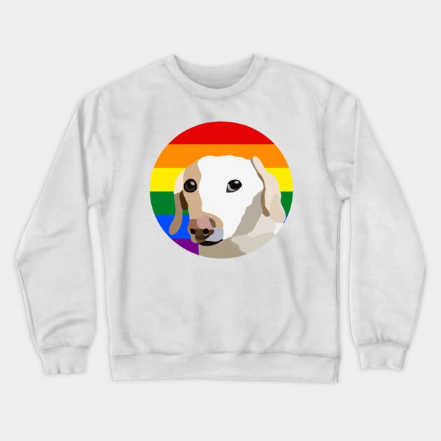 not too fond of gay people Crewneck Sweatshirt by casserolestan